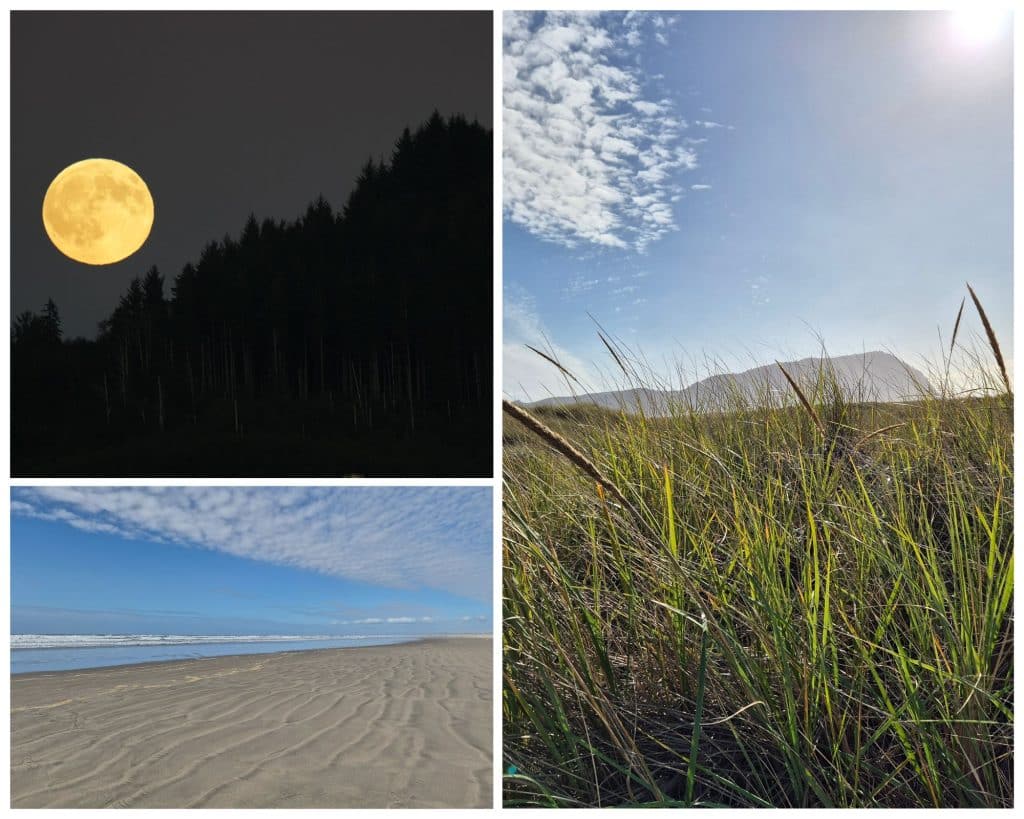 Nature around Seaside