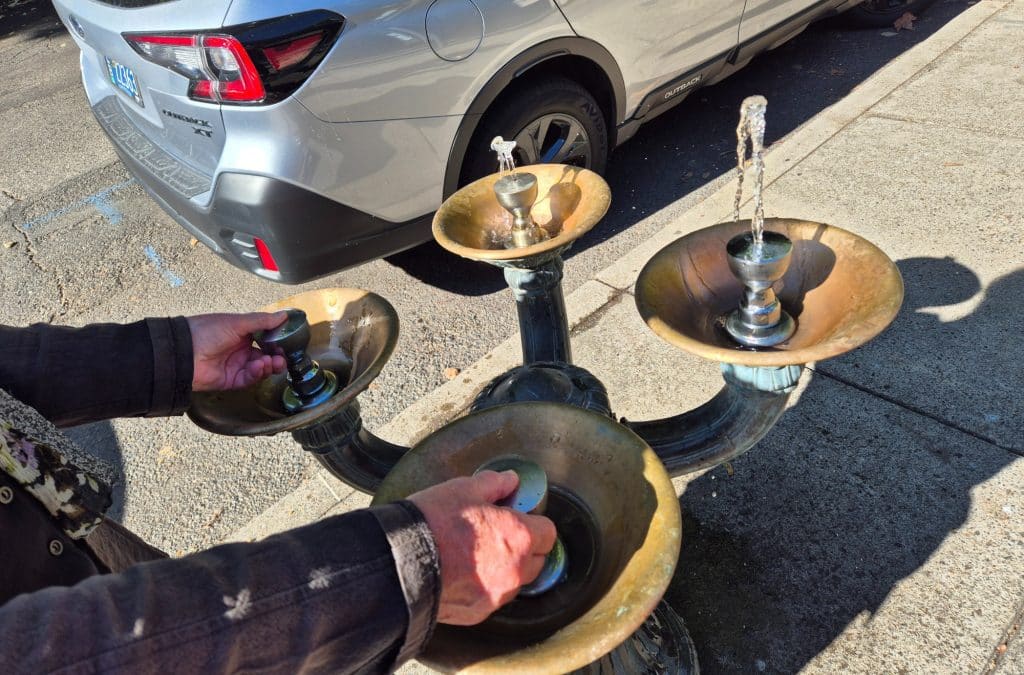 Benson Bubblers in Portland