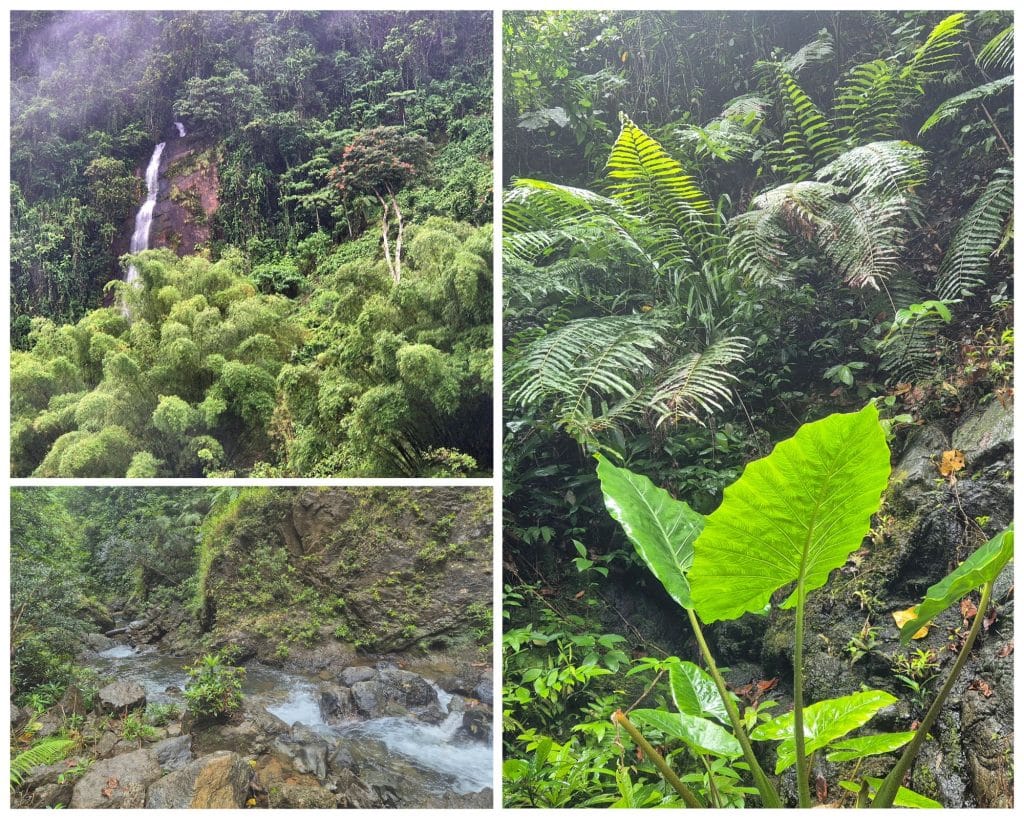 Waterfall Tour in Fiji