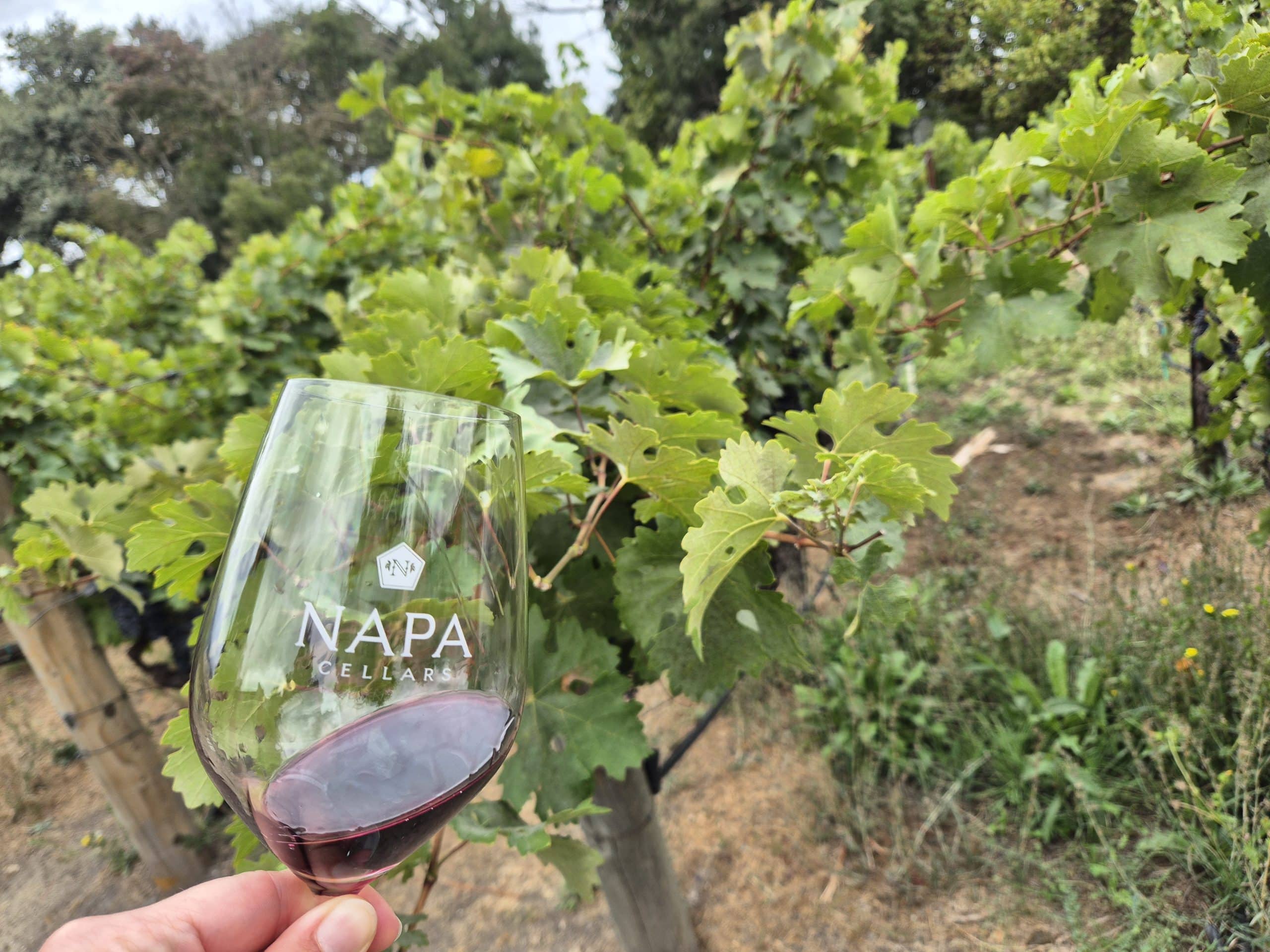 Napa Valley