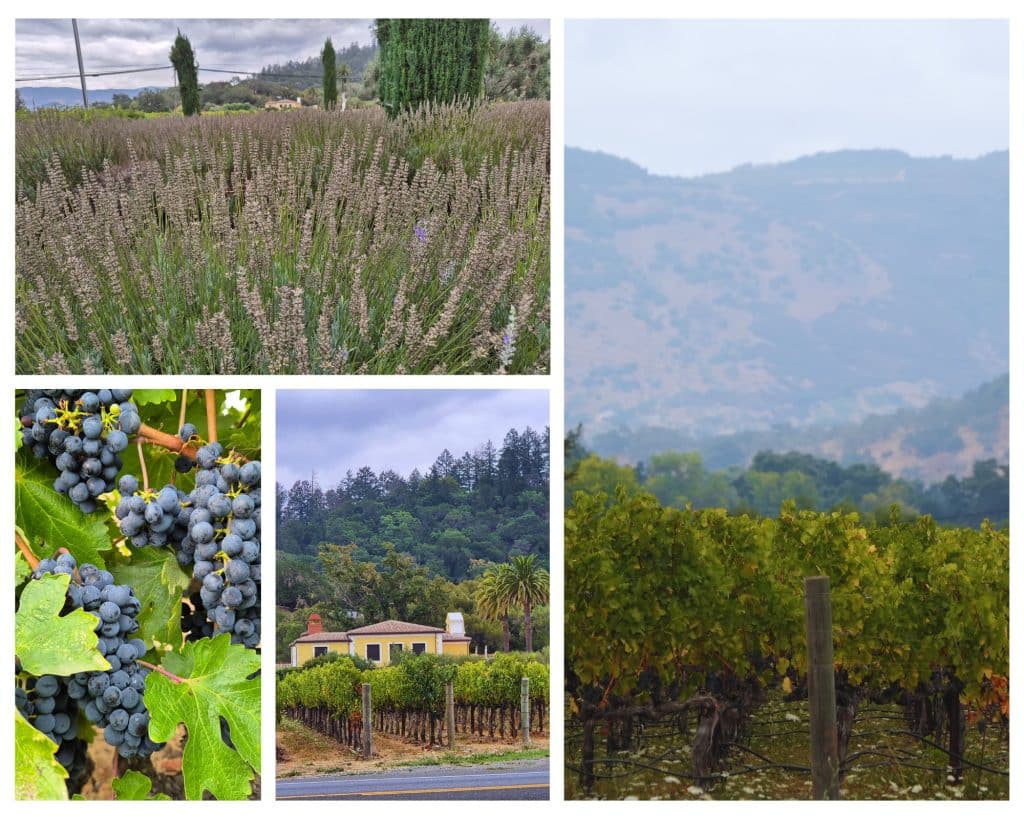 Napa Valley