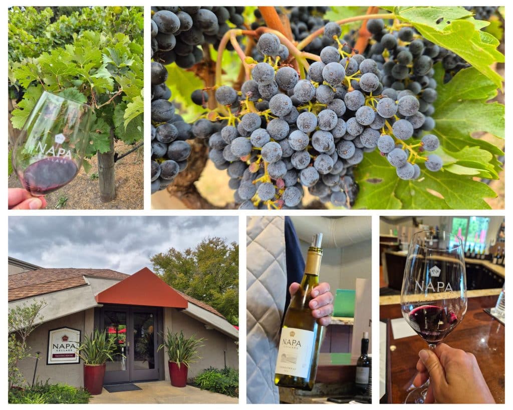 Napa Cellars Winery