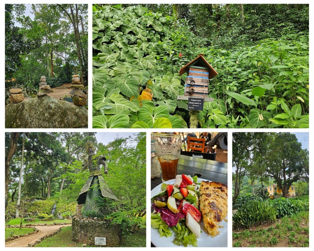 The Botanical Garden in Rio de Janeiro
