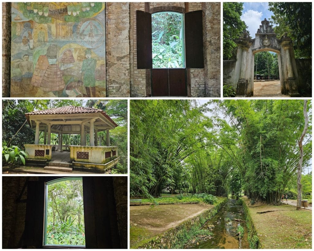 The Botanical Garden in Rio de Janeiro