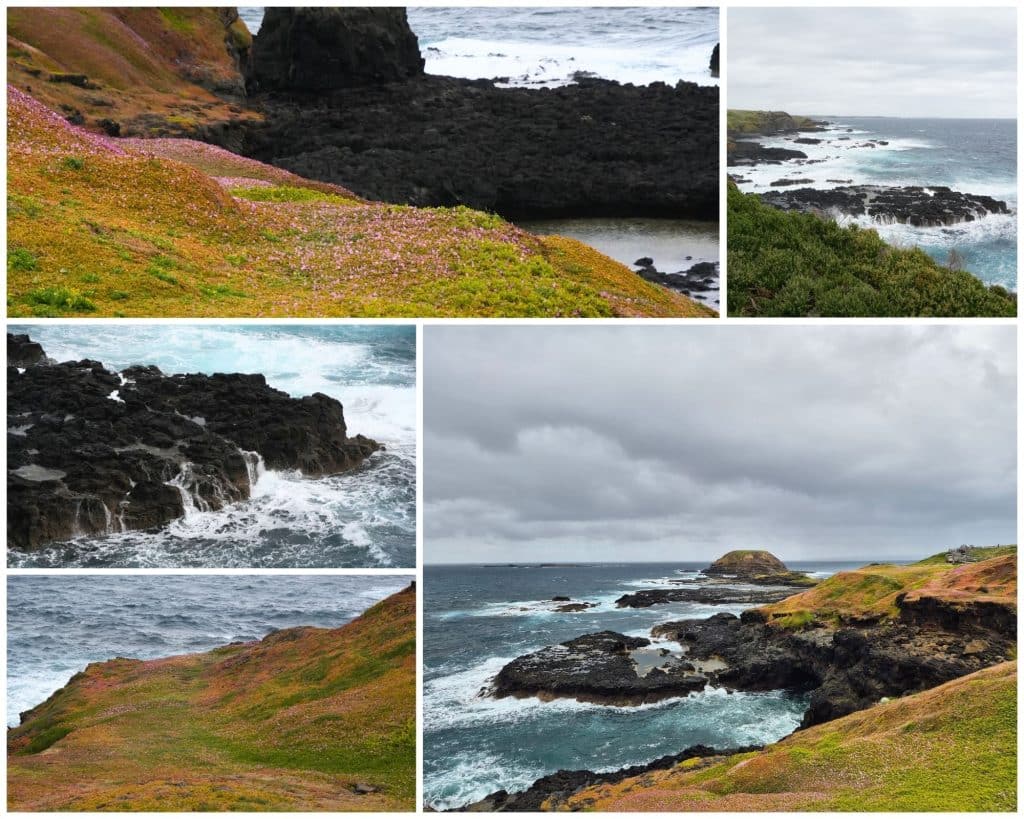 The Nobbies on Phillip Island