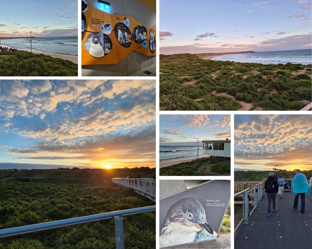 The Penguin Parade on Phillip Island