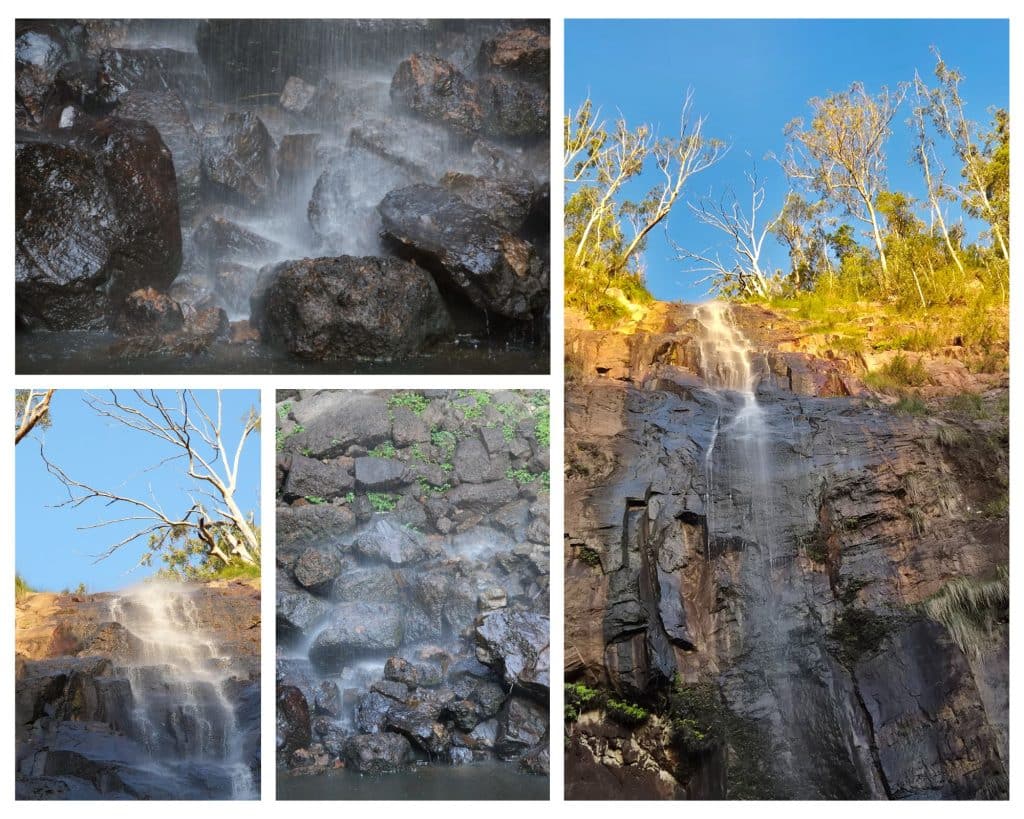 Protesters Falls in Gondwana Rainforest