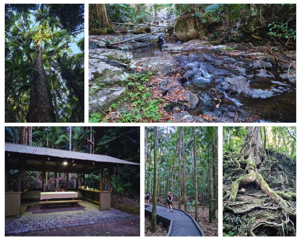 Nightcap National Park in Gondwana Rainforest