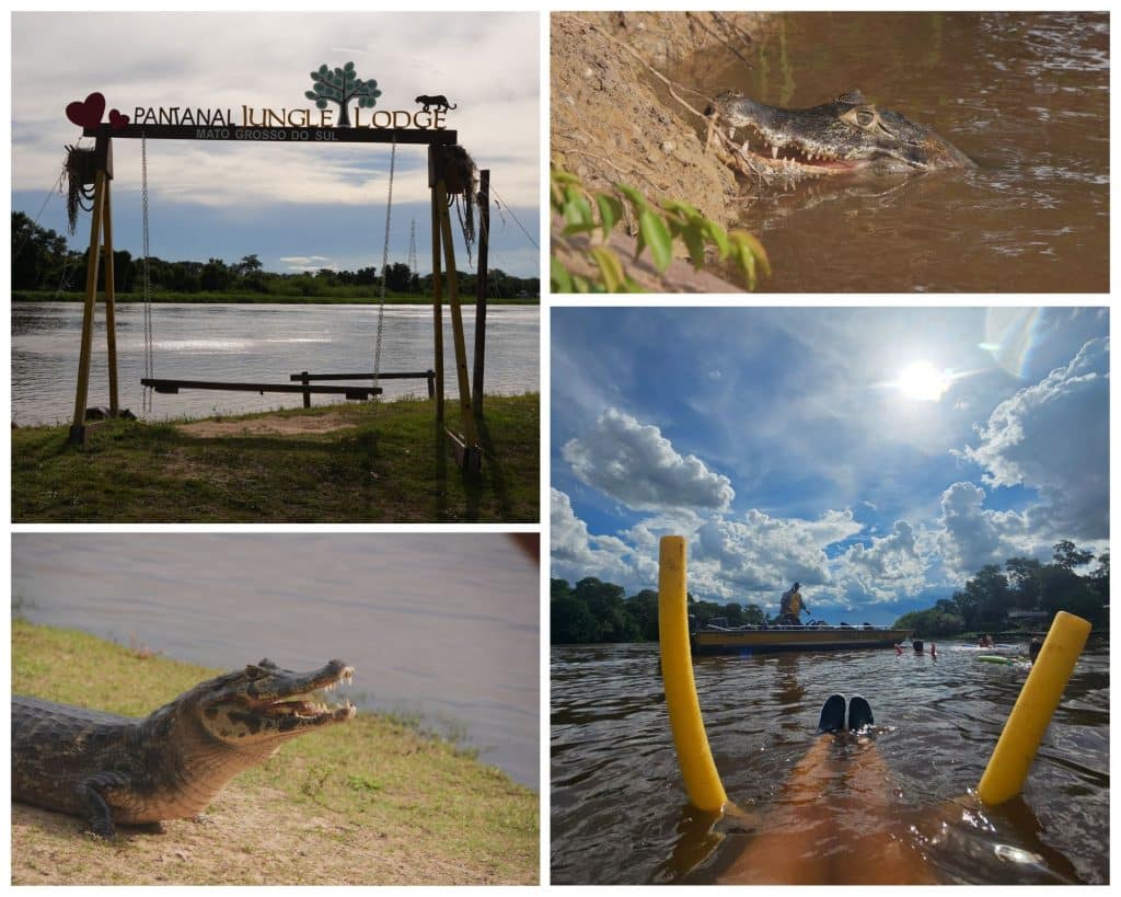 The Miranda River in the Pantanal