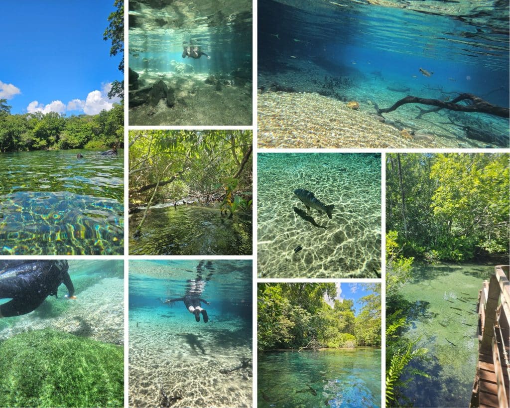 Snorkeling in the Rio da Prata