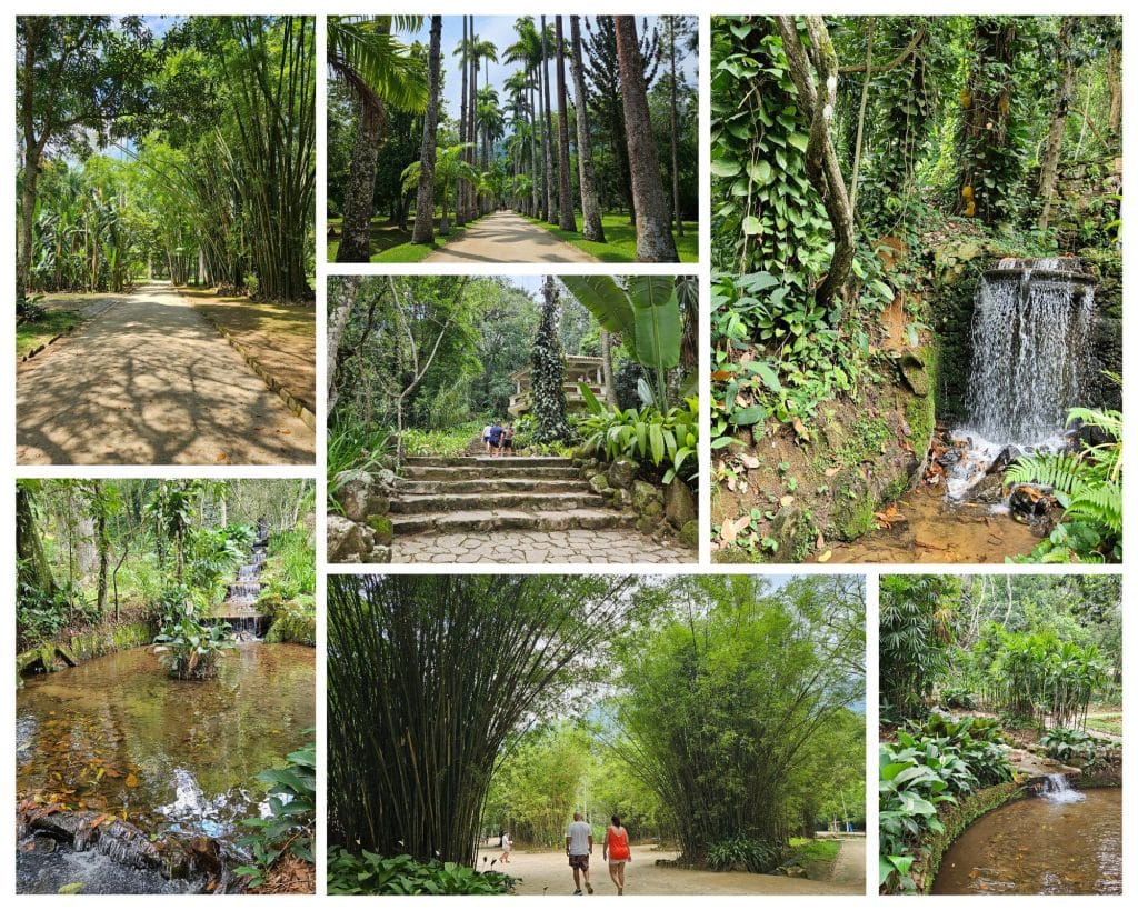The Botanical Garden in Rio de Janeiro