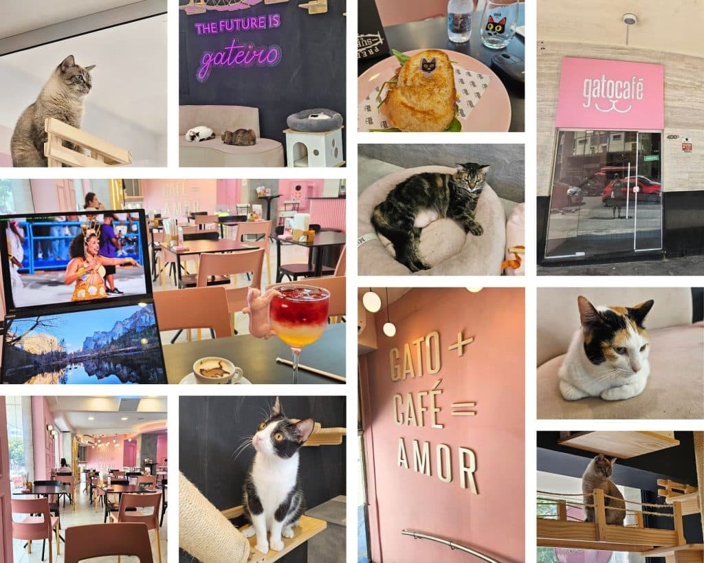 Gato Cafe in Rio