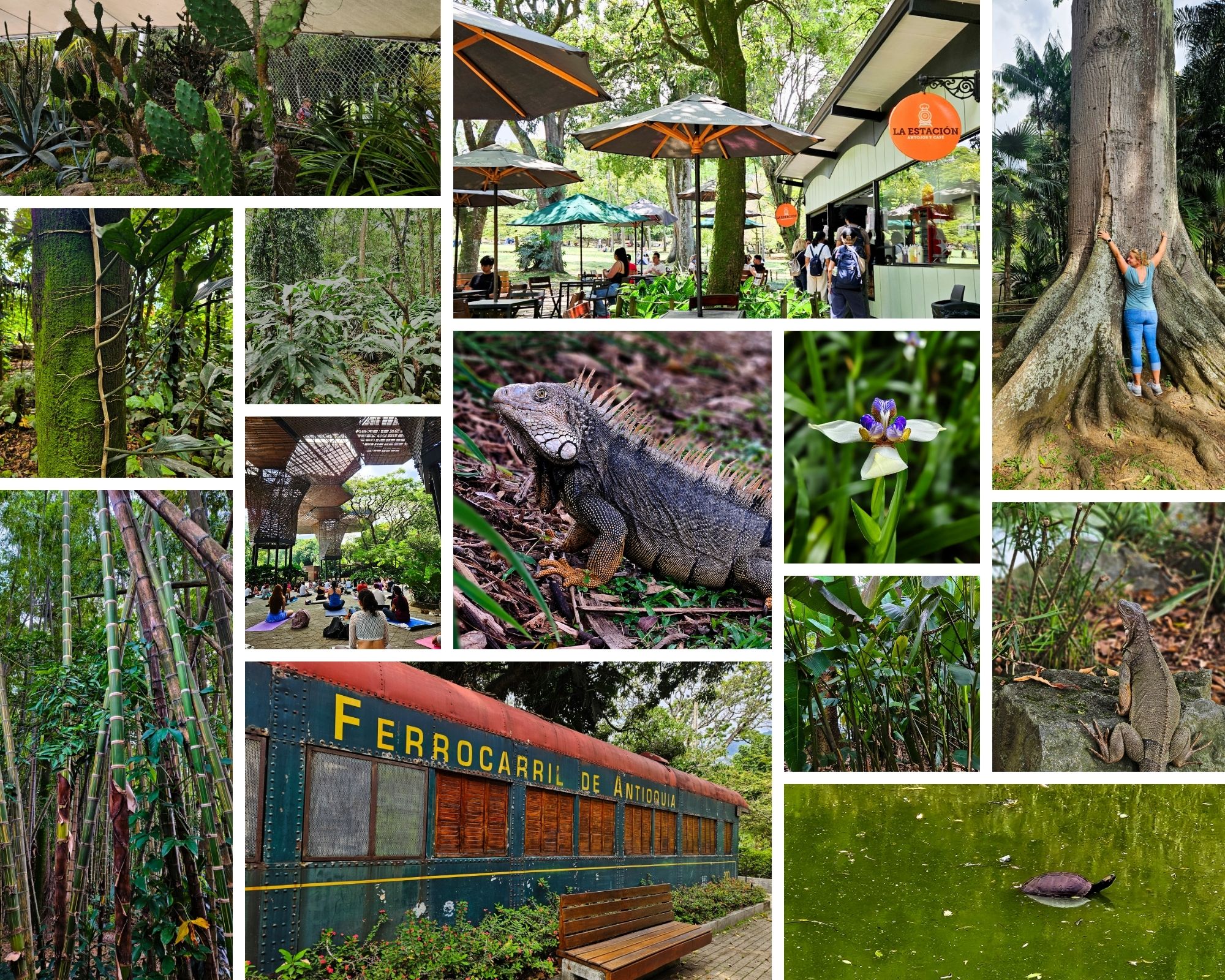 Botanical Garden in Medellin