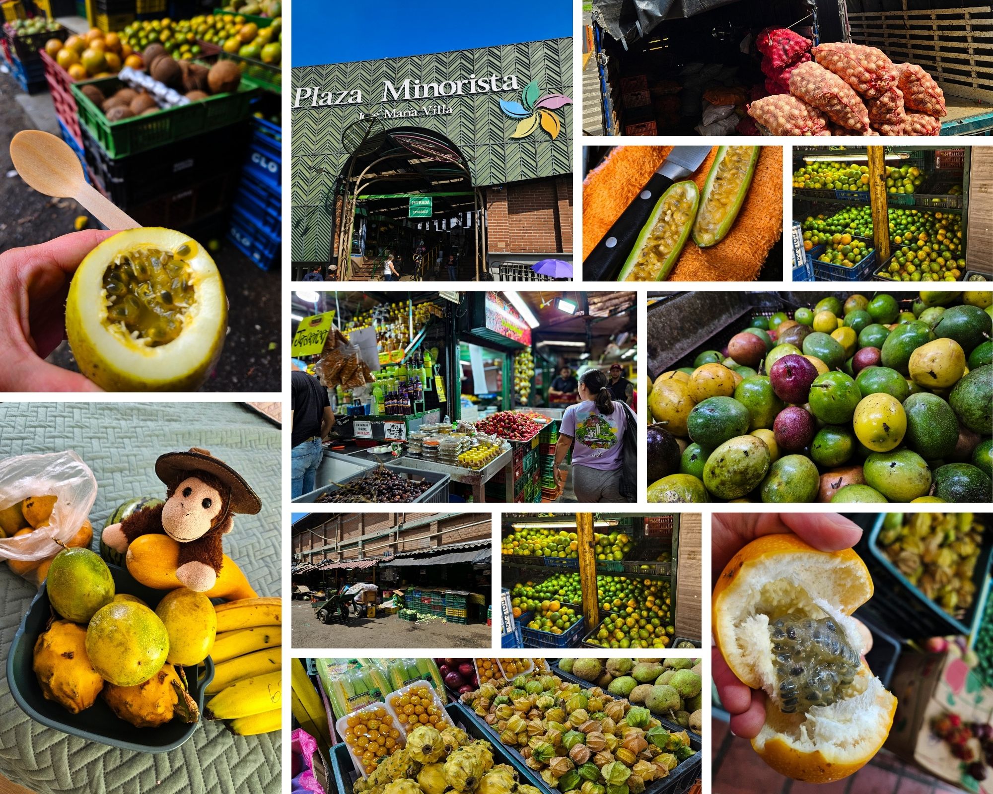 Fruits tour at the market in Medellin