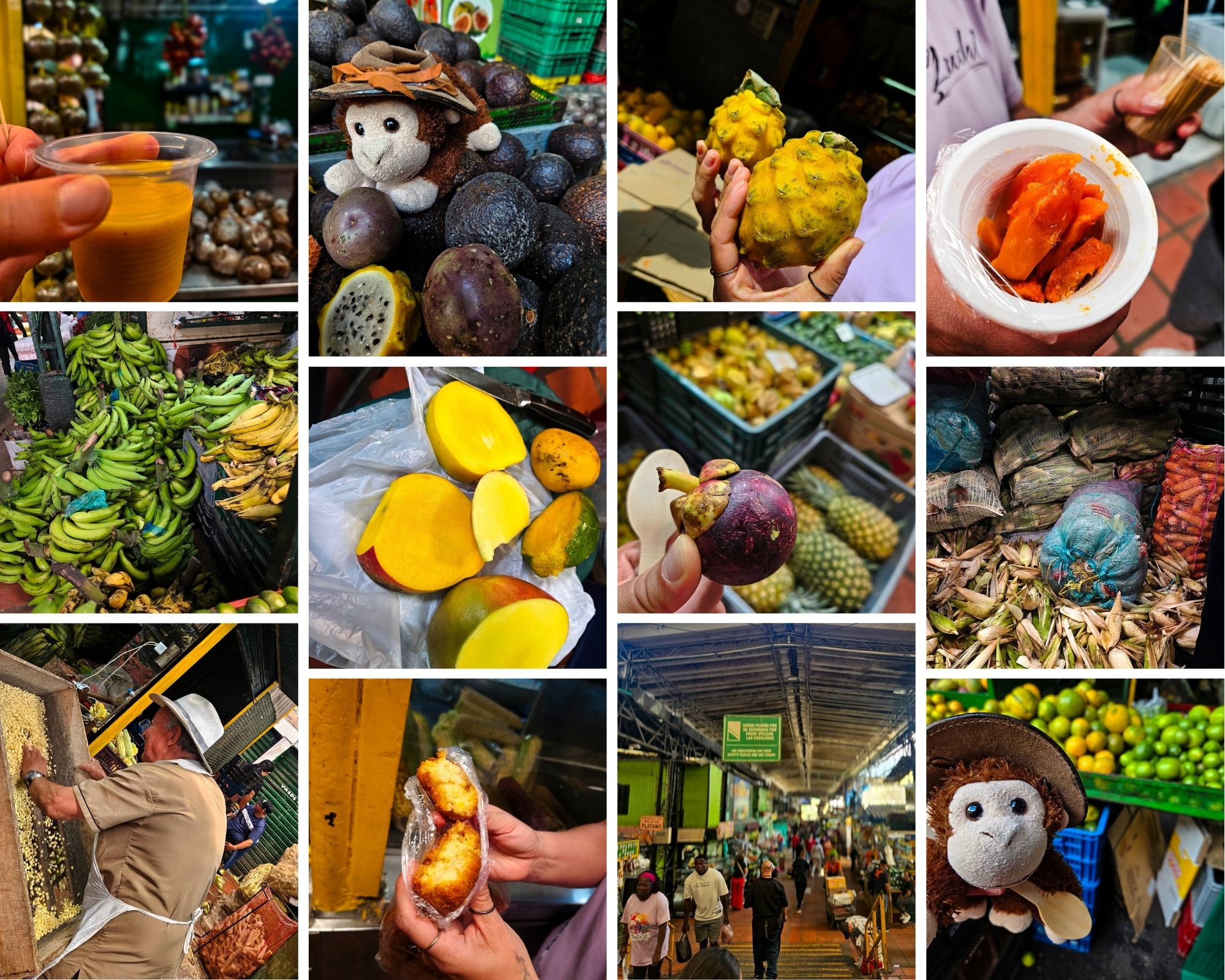 Fruit tour of the market in Medellin