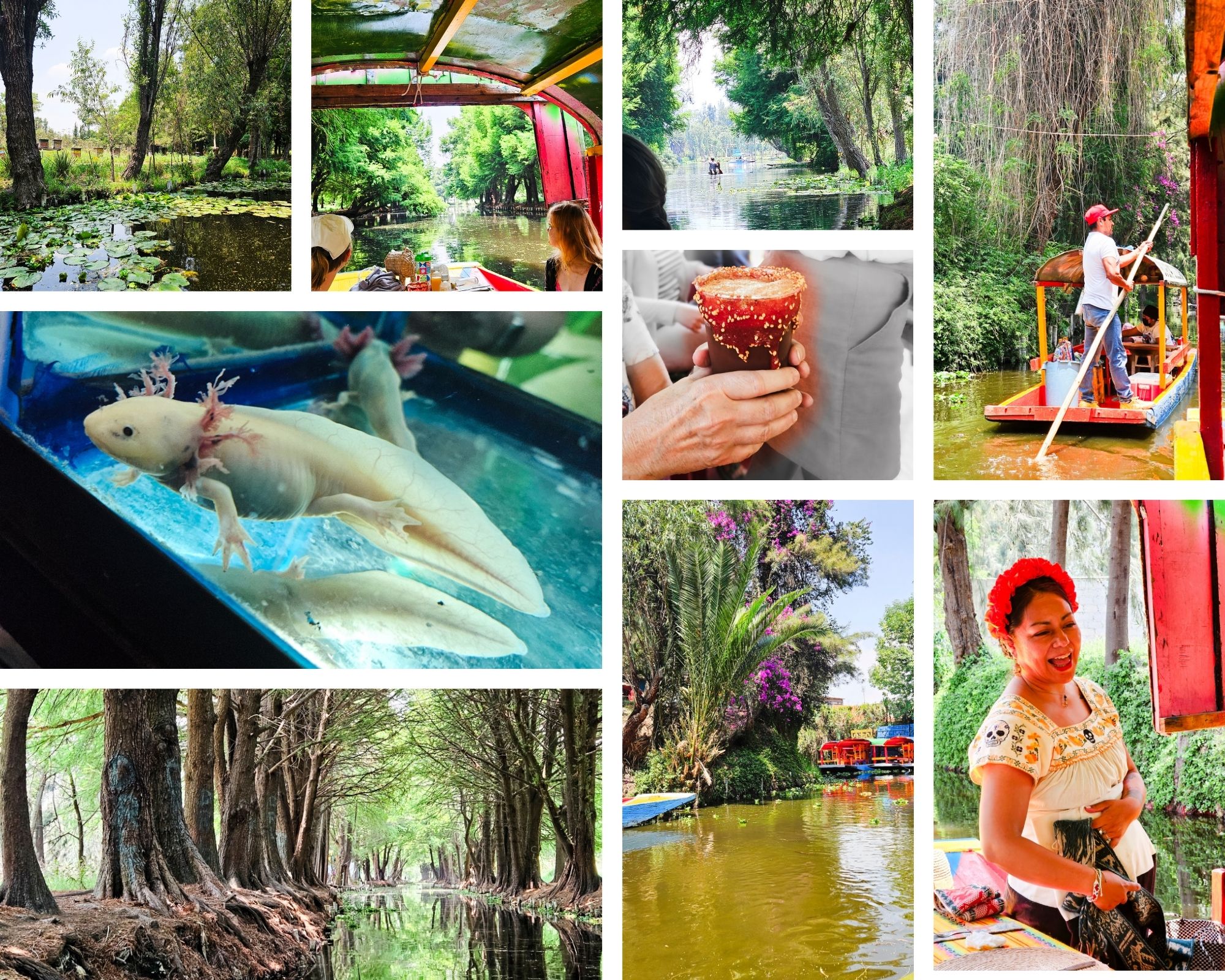 Xochimilco
